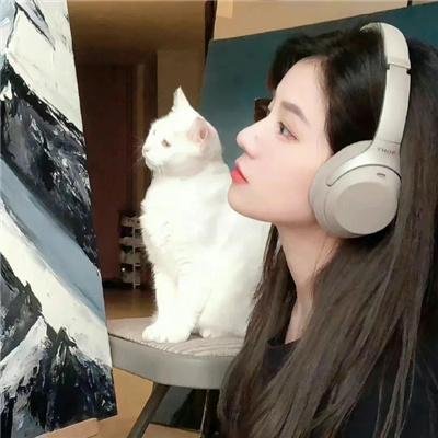 在地心拦截